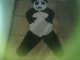 TAPETE INFANTIL URSO PANDA